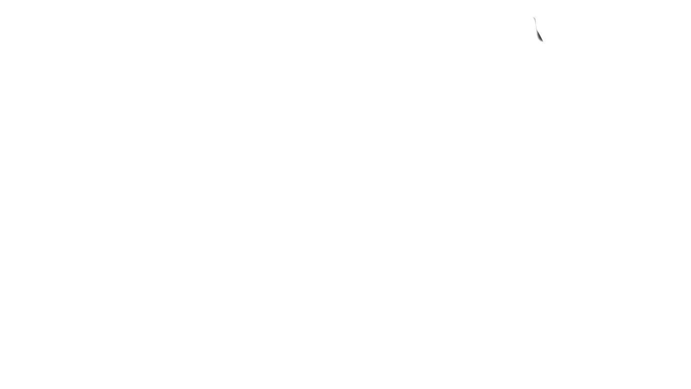 Olesya Boreyko Design Leader